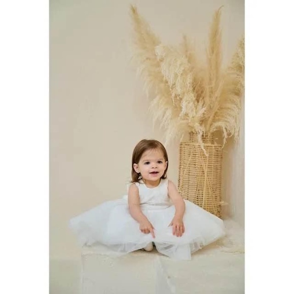BRAND NEW baby teter warm baptism wedding flower girl dress size 9M & 12M - Picture 3 of 10